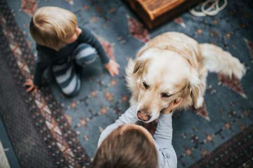 massa haus für Tierfreunde - 
