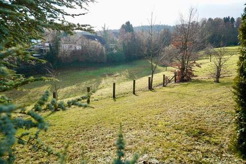 Großzügiges Grundstück - 