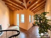 IMG_7541 - 