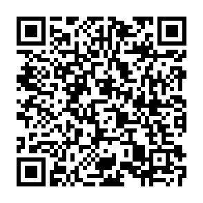 QR-Code - 