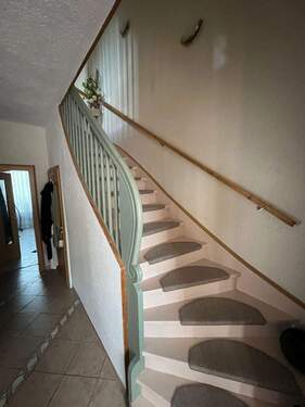 PHOTO-2025-05-09-11-03-02-4.jpg - 