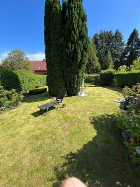 PHOTO-2025-05-09-11-03-04-2.jpg - 