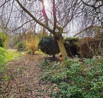 Traumhaftes Grundstück am Naturbad - Gestalten Sie Ihre Zukunft in Dessau-Mosigkau - Dessau-Roßlau