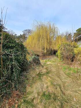 Ansicht Front - Einfamilienhaus zum Kaufen in Dessau-Roßlau