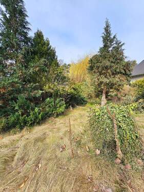 Vordere Grundstück - Einfamilienhaus in Dessau-Roßlau