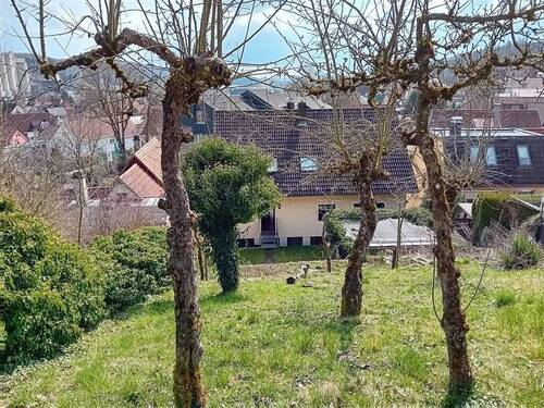 Garten von oben - 