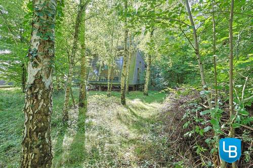 Für Naturliebhaber - 1 Zimmer Einfamilienhaus in Seedorf