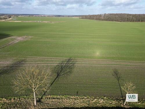Ansicht gegenüber - Grundstück in Salzwedel zum Kaufen