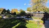 kleiner Park - 