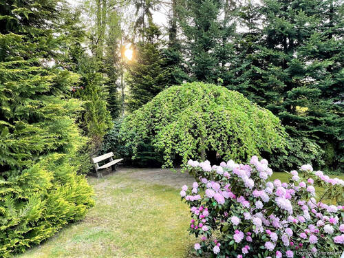 Lauschiges Plätzchen bei Sonnenaufgang - 