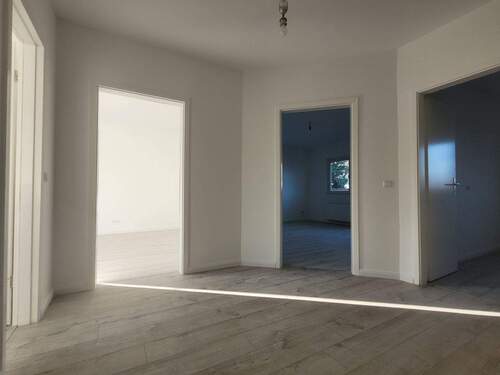 20260121_112410.jpg - 