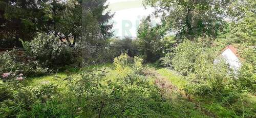 Bild 9 - 