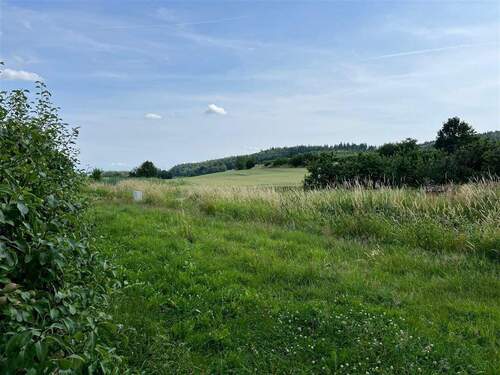 Umgebungslandschaft - Grundstück in Salem zum Kaufen