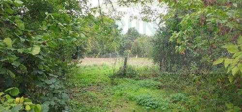 Bild 16 - 