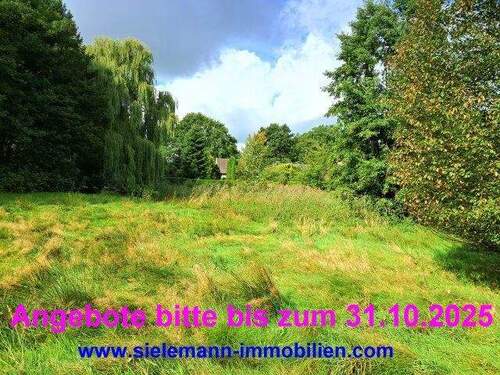 Grundstücksansicht sie.jpg - Naturnahes Grundstück mit Grünland und Waldanteil