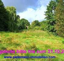 Naturnahes Grundstück mit Grünland und Waldanteil - Lamstedt Hackemühlen