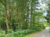 Wald mit Straße.jpg - Grundstück in Lamstedt