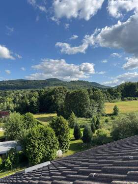 IMG-20260225-WA0071.jpg - 