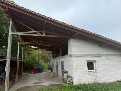 IMG-20251007-WA0192.jpg - 