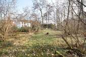 Waldgrundstück - 