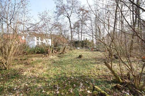 Waldgrundstück - 