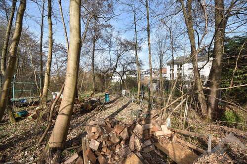 Waldgrundstück - 