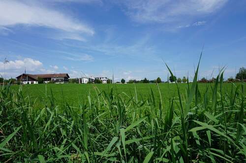 Blick auf die Anlage - 