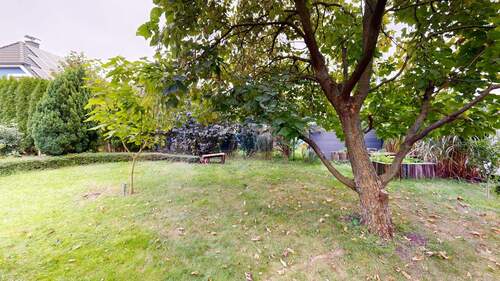 Garten 2.jpg - 