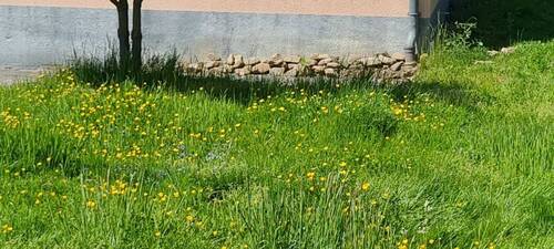 20250509_133400.jpg - Einfamilienhaus mit 110,00 m² in Leverkusen zur Miete