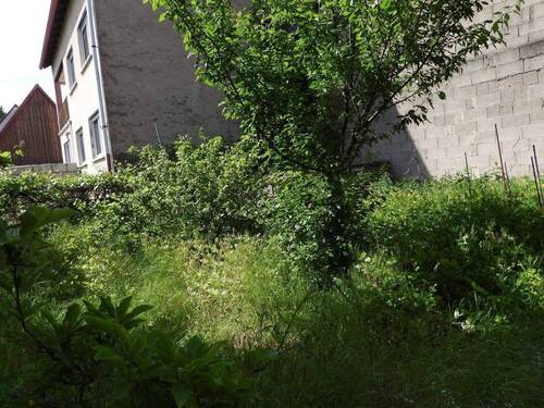 DSCN6453.JPG - 