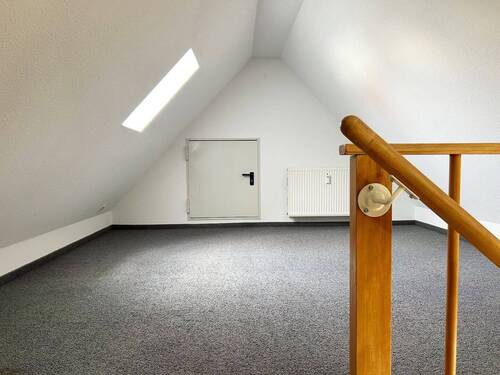 Studio - 3 Zimmer Etagenwohnung in Dresden