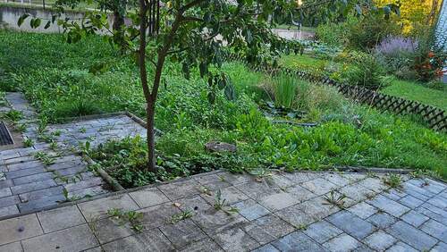 20250903_191933.jpg - 