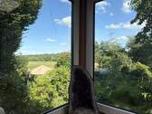 Blick aus dem Wintergarten - 