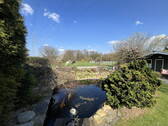 Teich mit Gartenhaus - 