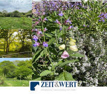 Grundstück in Kolverath - 19.900,00&nbsp;EUR Kaufpreis, ca.&nbsp; 0,00&nbsp;m&sup2; in Kolverath (PLZ: 56767)