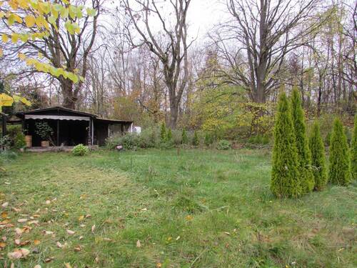 IMG_8888.JPG - Einfamilienhaus mit 120,00 m² in Bredenbek zum Kaufen