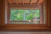 Ausblick - 
