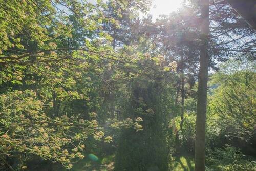 Garten - 