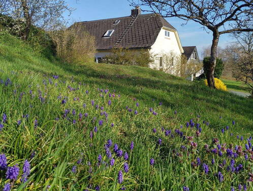 Gartenansicht im Frühling - 