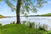 Nahegelegener Mellenseee - 8 Zimmer Einfamilienhaus zum Kaufen in Am Mellensee / Mellensee