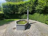 Hinterhof - 