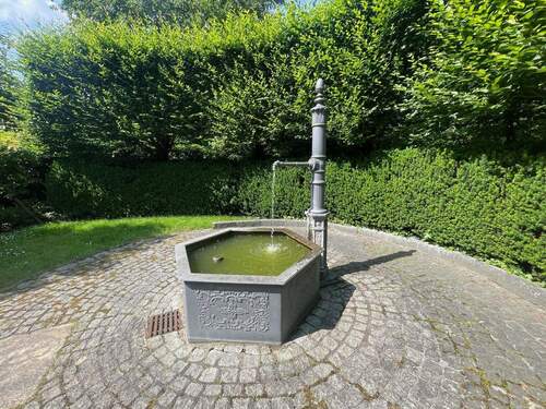 Hinterhof - 