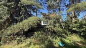04_Rückwärtiger Garten - Grundstück in Berlin zum Kaufen