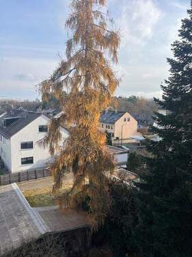 Blick ins Wohnumfeld 2 - 