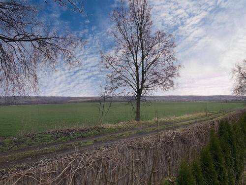 Feld hinterm Grundstück - 