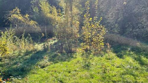 Baugrundstück - Ihr Wohntraum beginnt hier! - 85.000,00&nbsp;EUR Kaufpreis, ca.&nbsp; 0,00&nbsp;m&sup2;