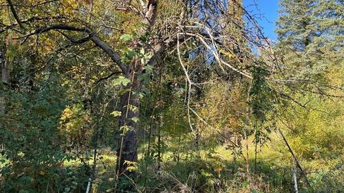 Baugrundstück - Grundstück in Freital zum Kaufen