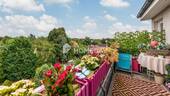 Ausblick - 