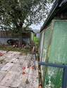 11 Grenze - 