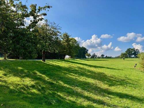 Blick nach Westen - 